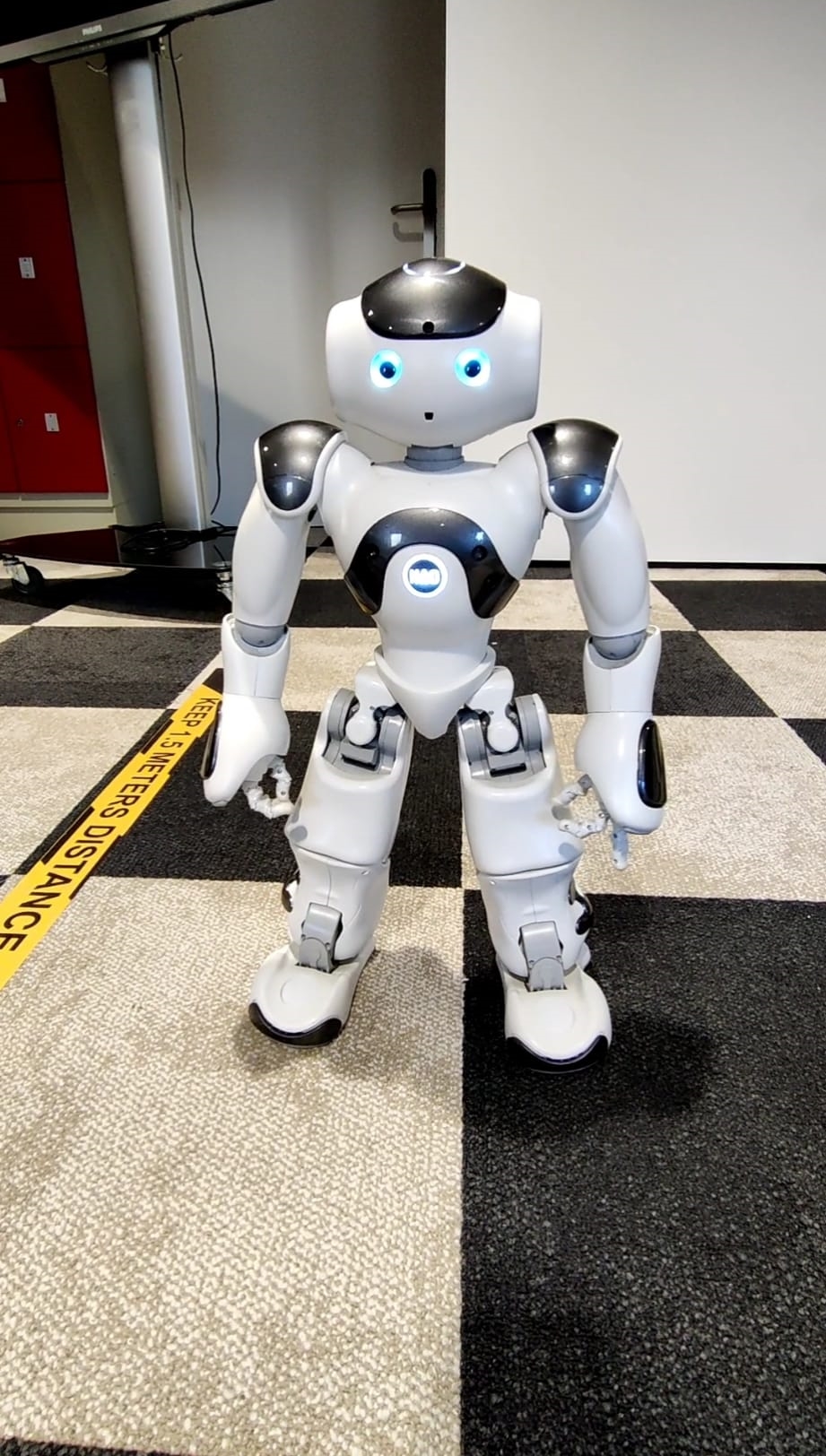 nao.jpg
