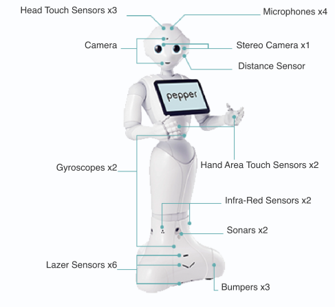 pepper_spec_img_en.png